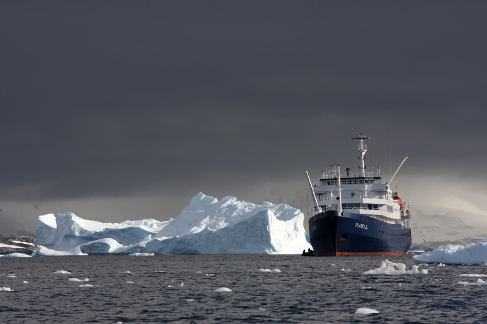 Antarctica - Whale watching